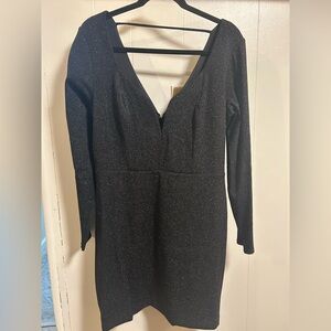 Express Black Sparkle Long Sleeve Dress